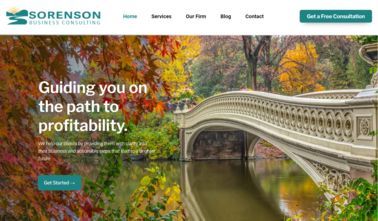 Sorenson Business Consulting website screenshot